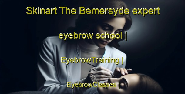 Skinart The Bemersyde expert eyebrow school | EyebrowTraining | EyebrowClasses | SkinartTraining-Canada